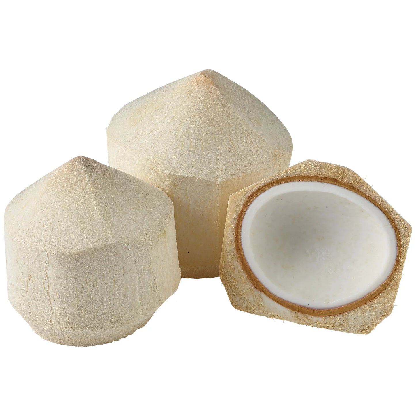 Coconut Young Fresh 20ct