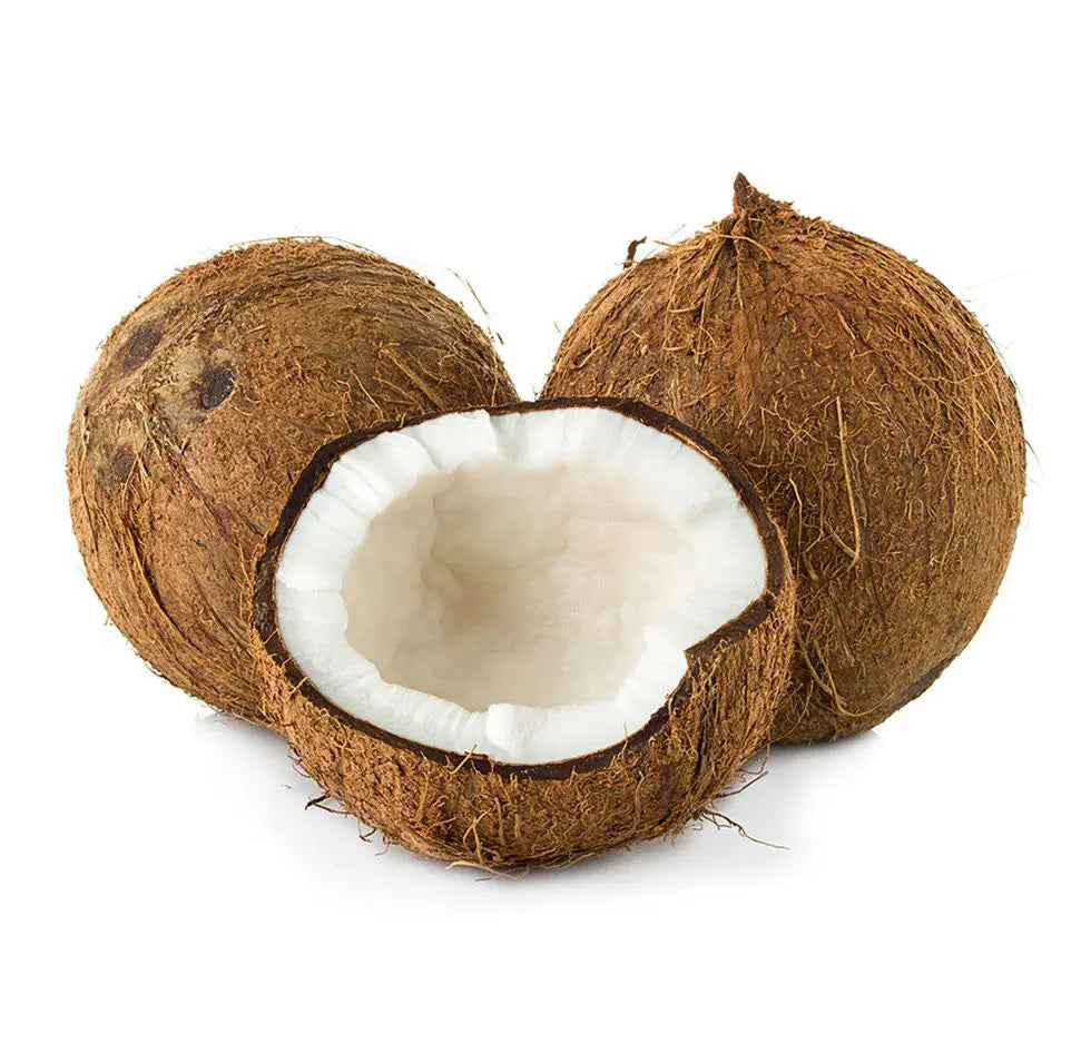 Coconut 20ct