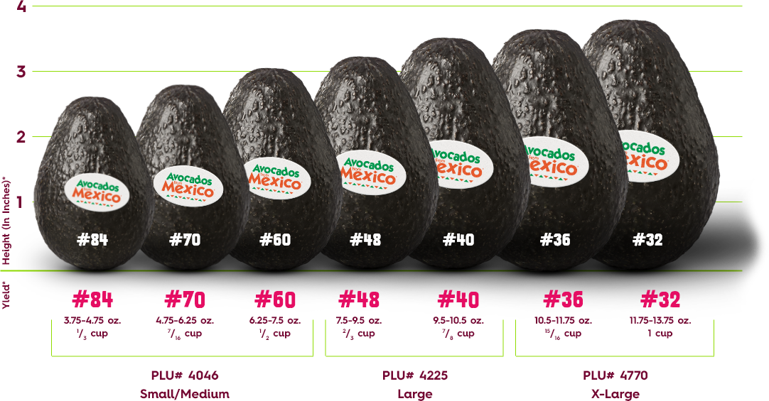Avocado Medium 60ct