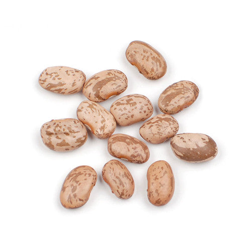 Pinto Beans