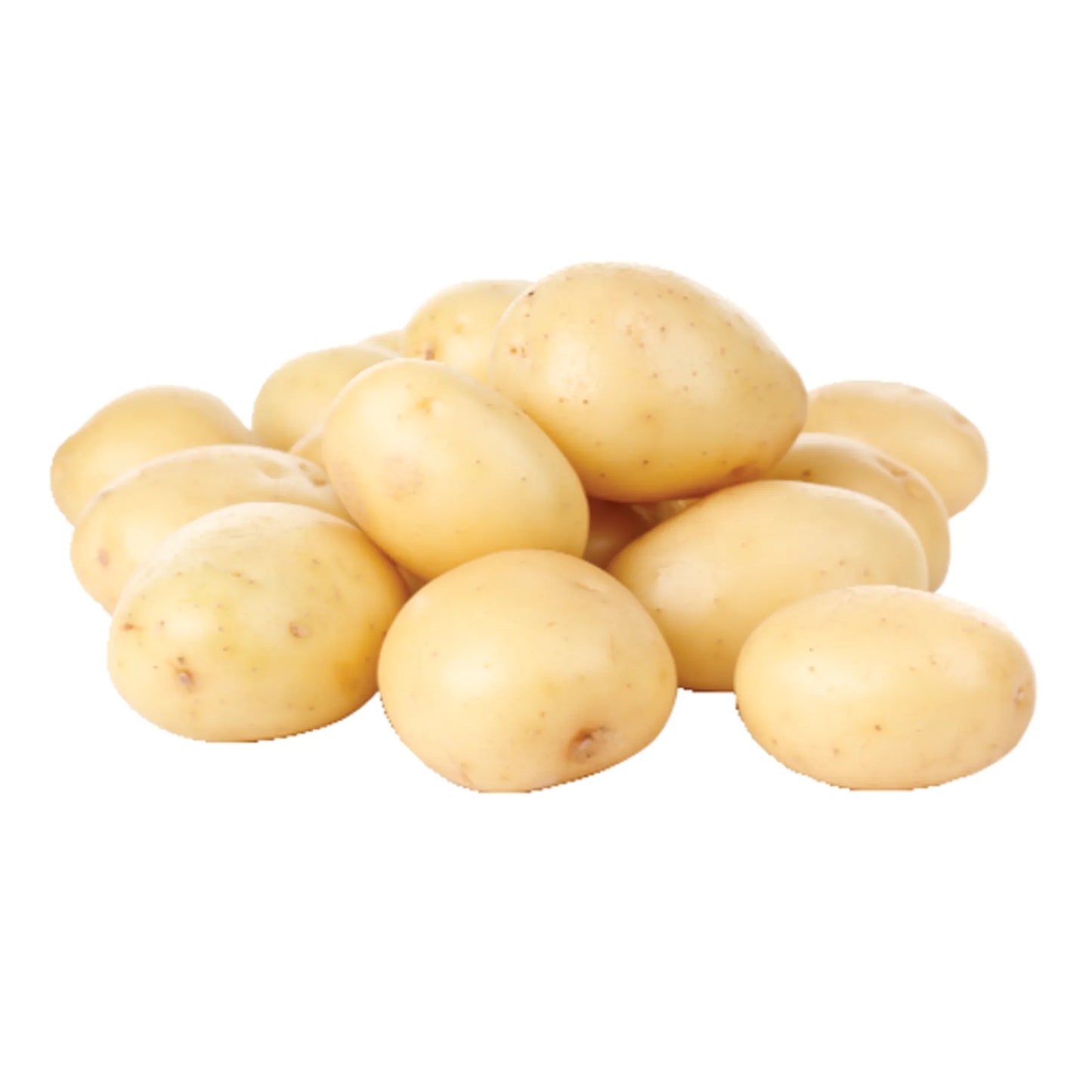 Potato White 50LB