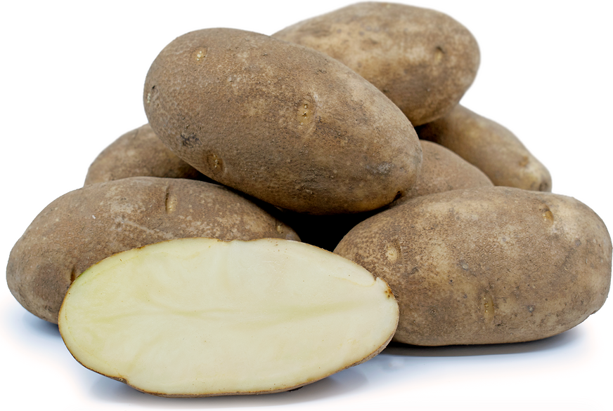 Potato 50LB