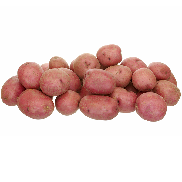 Potato Red 50LB