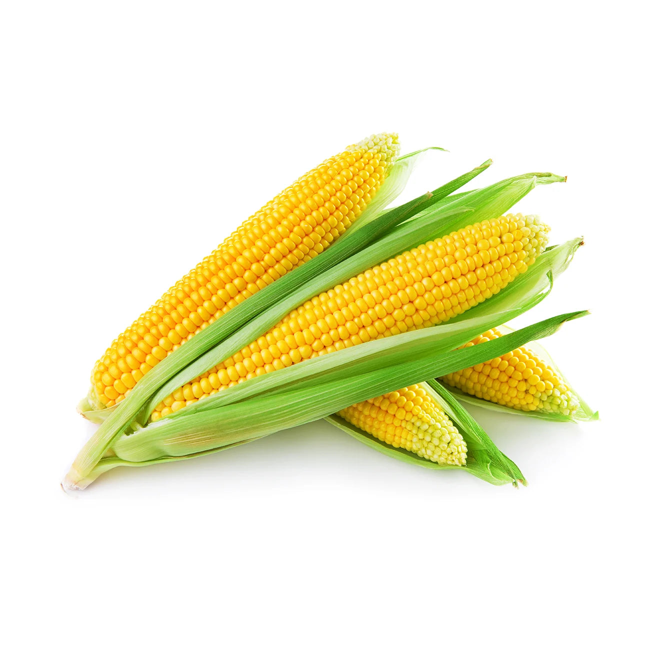 Corn Sweet 48ct