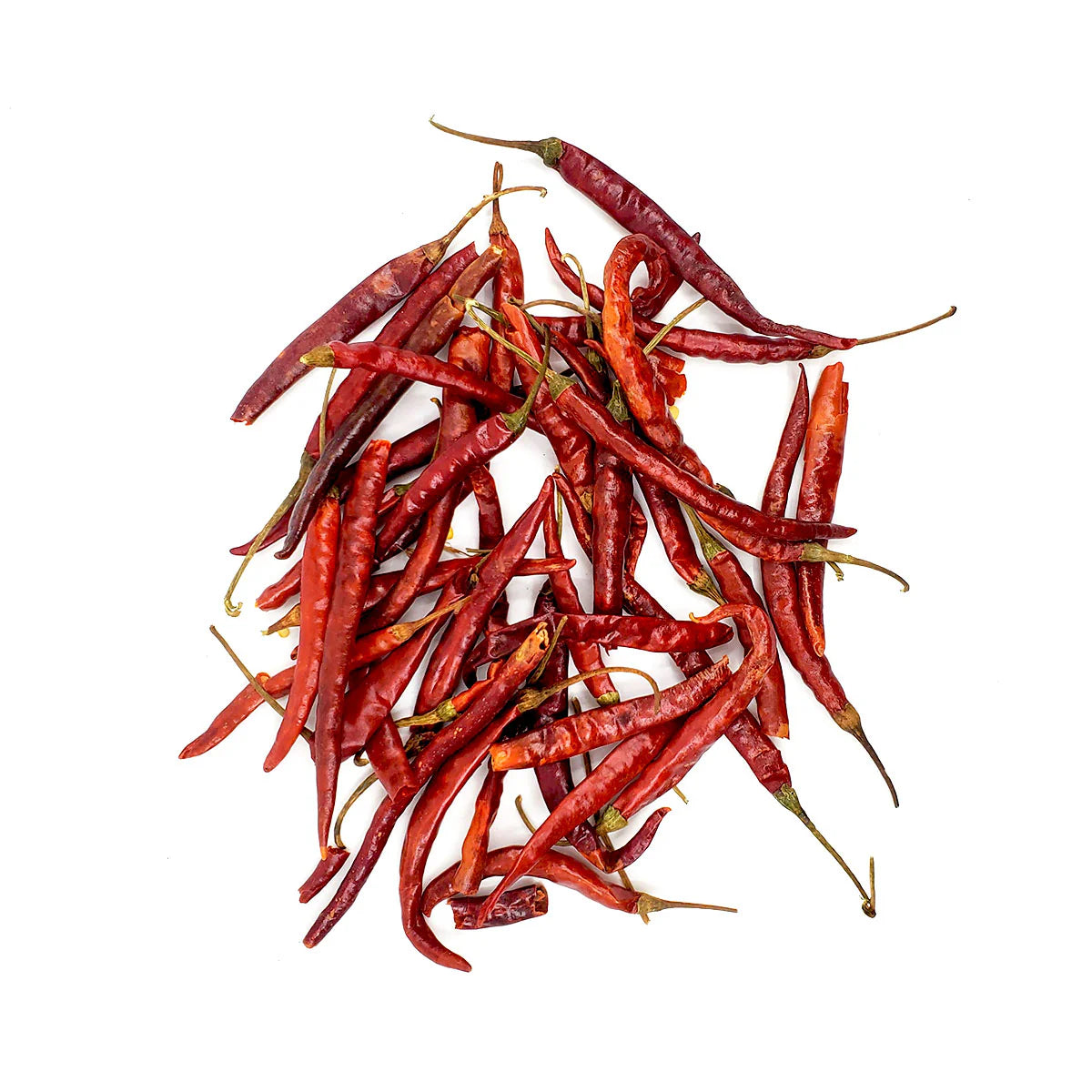 Arbol (with stem) 22LB