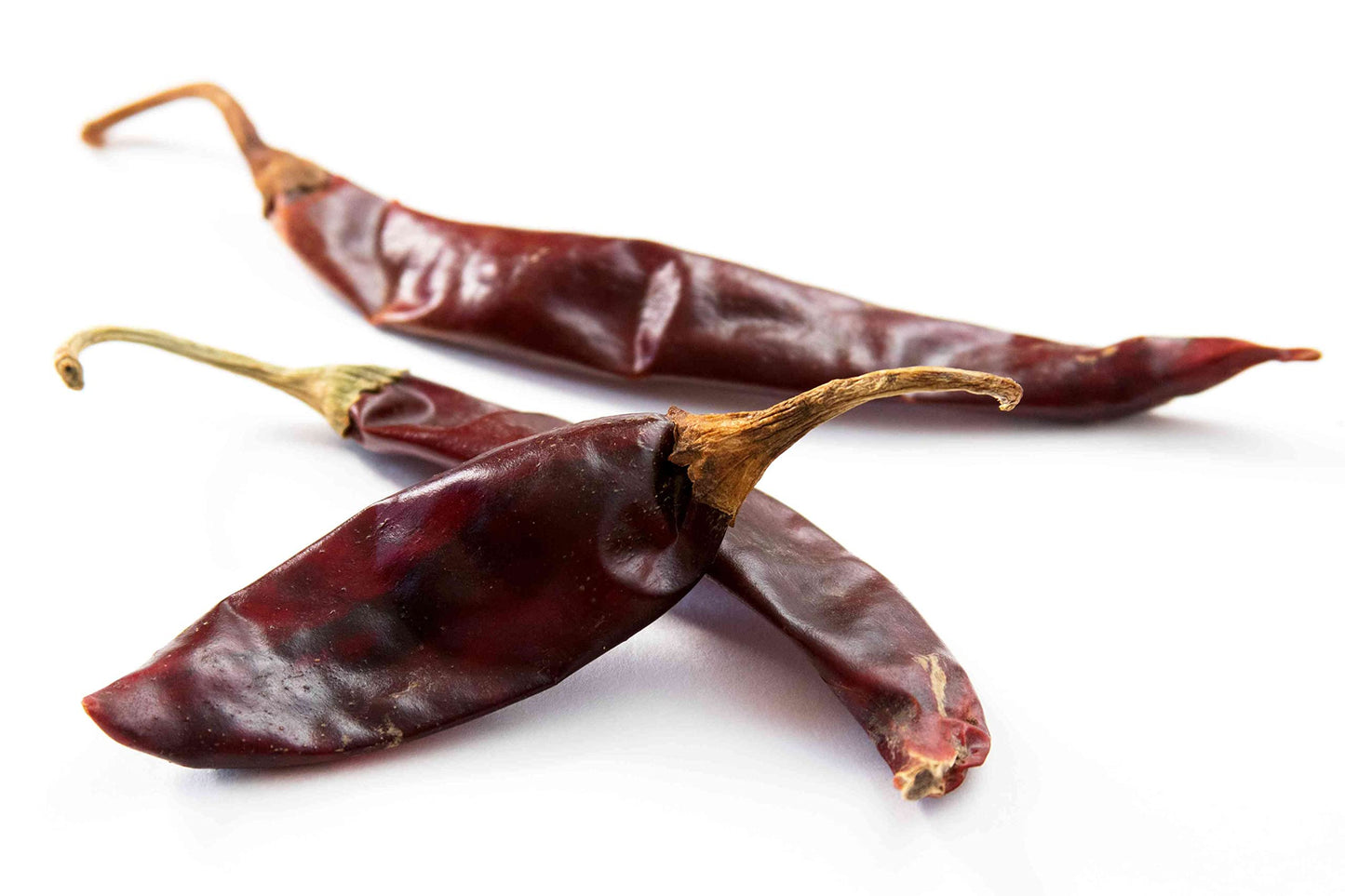 Puya 20LB