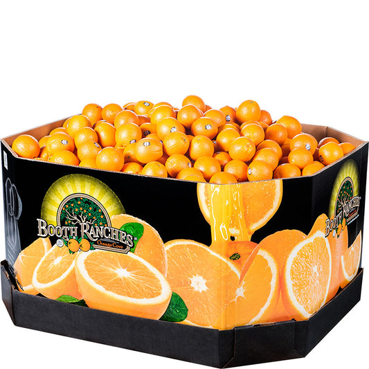 Contenedores naranjas de 650 libras