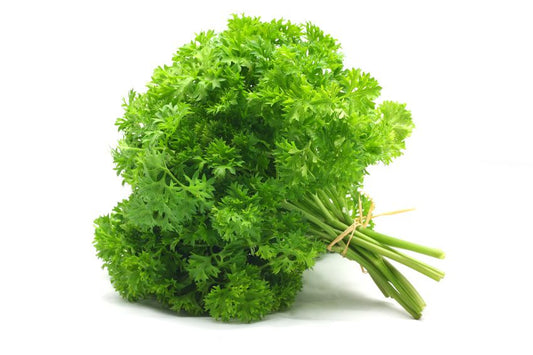 Parsley Curly 48ct